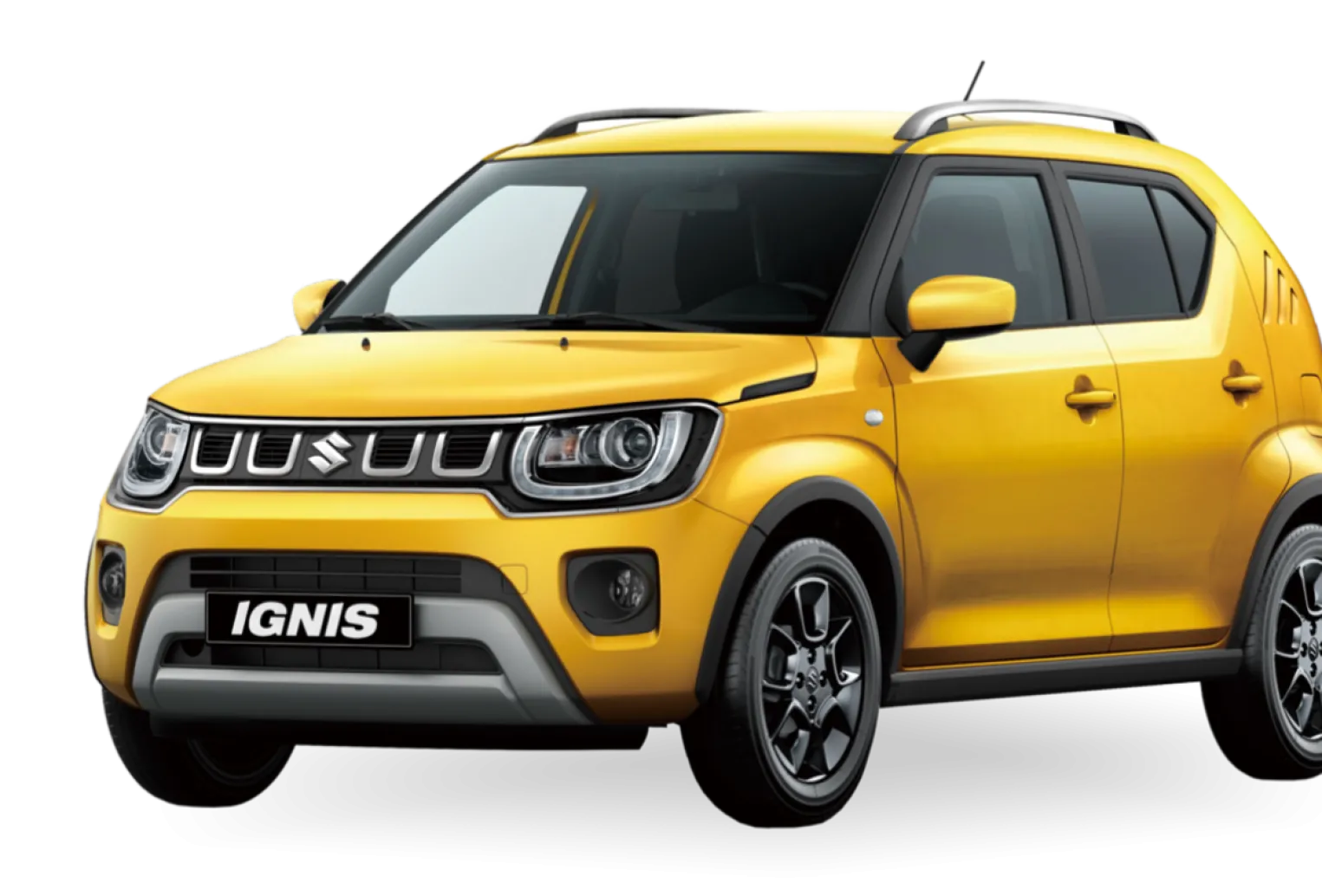Ignis---GLX