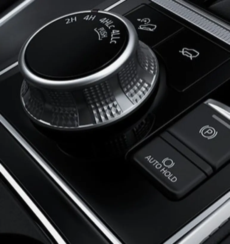 Foto-caracteristicas-339x375px-01-1