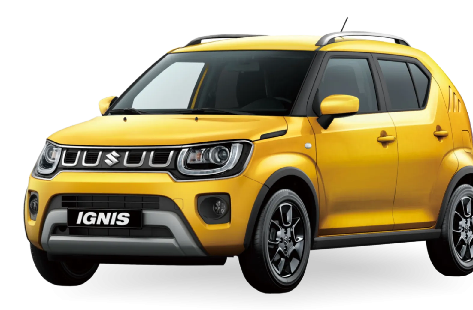 Ignis---GLX